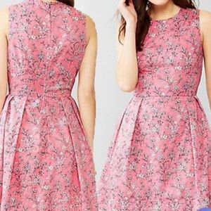 GAP Fit and Flare A-Line Dress